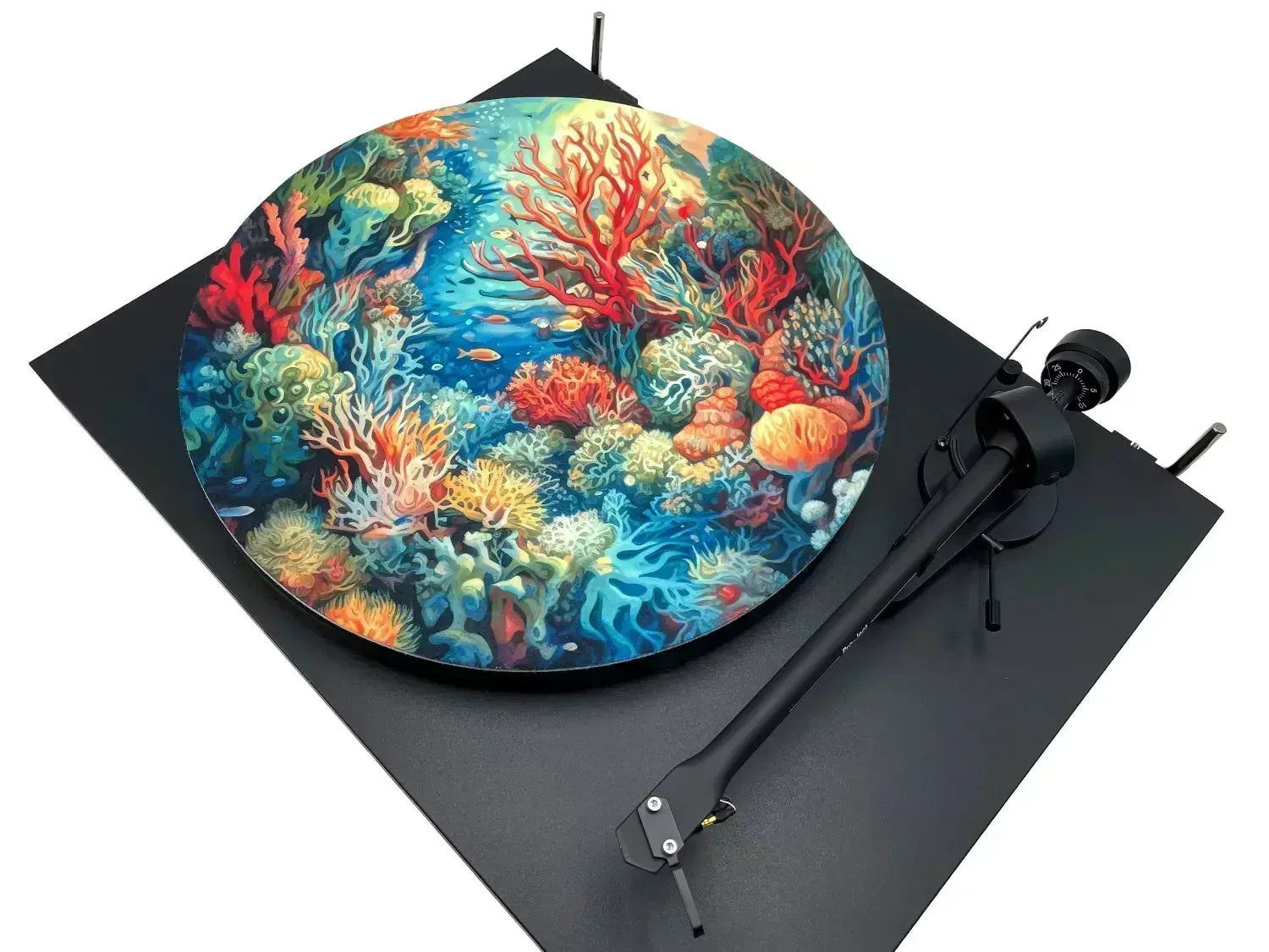 Feutrine KORAÏ - Groovarts