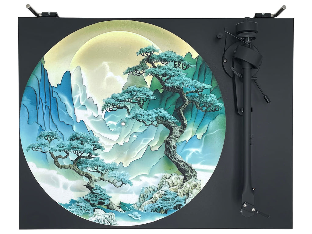 Feutrine pour platine vinyle « BONSAÏ » - groovarts.com