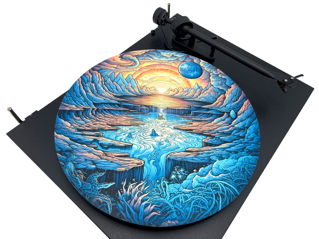 Feutrine pour platine vinyle « EPUPA 1 » - groovarts.com