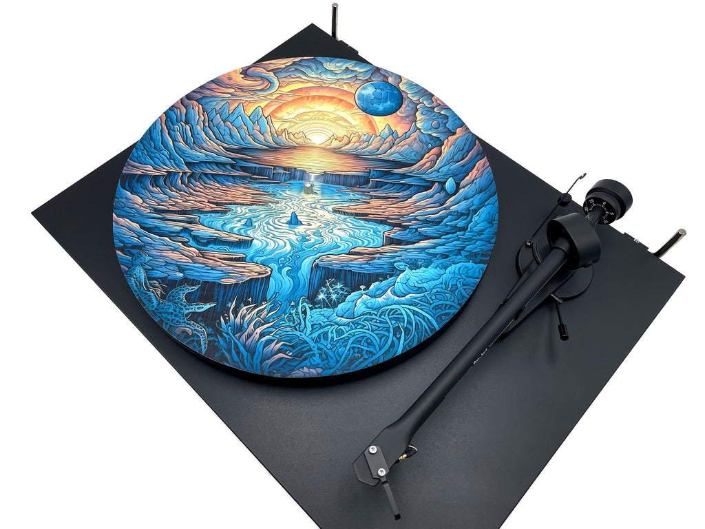 Feutrine pour platine vinyle « EPUPA 1 » - groovarts.com