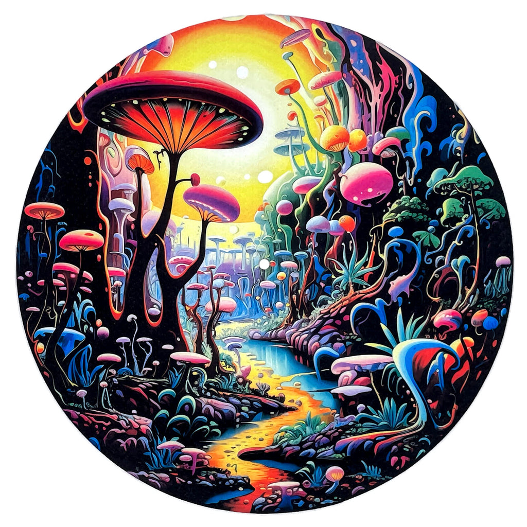 Feutrine pour platine vinyle « YOPO » - groovarts.com