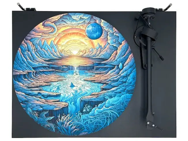 Feutrine vinyle “Epupa 1“ - Groovarts