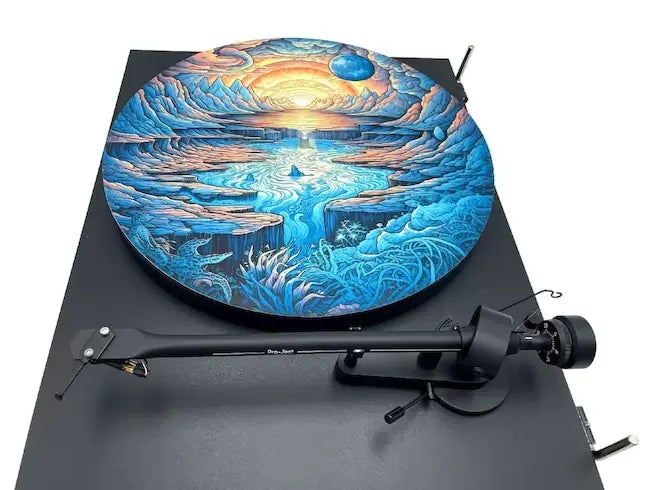 Feutrine vinyle “Epupa 1“ - Groovarts